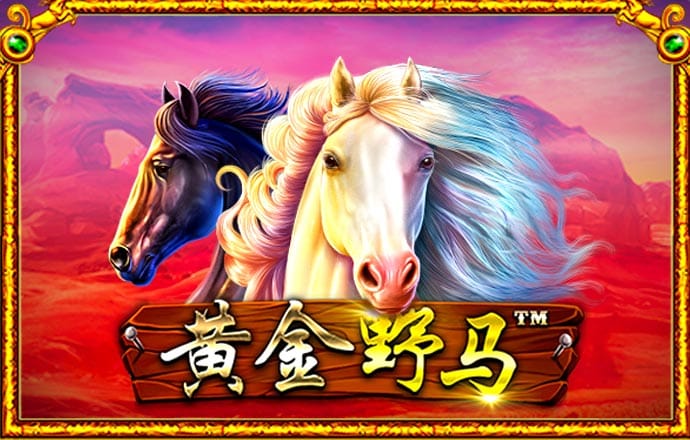 黄金体育app官网入口苹果